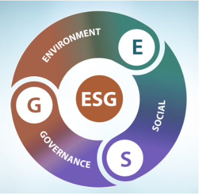 Sahara Group: ESG Strategy Development